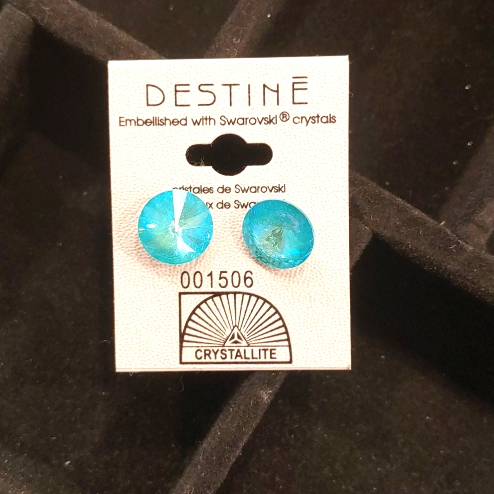 Earrings from Sally's Beauty